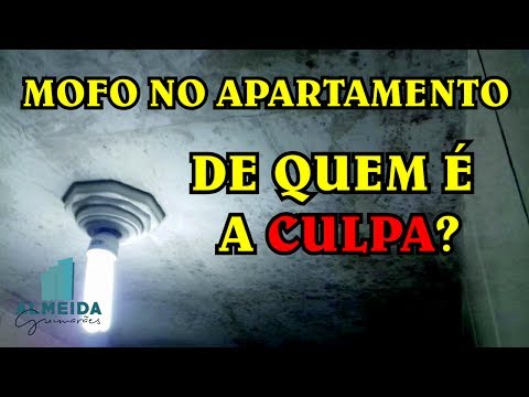 Inspeção predial: mofo e bolor
