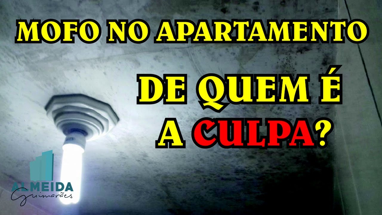 Laudo de Inspeção Predial Mofo e Bolor nos Apartamentos