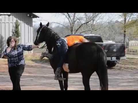 Living in the Real World ♥