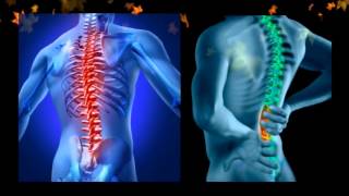 preview picture of video 'Chiropractor Provo | The Preferred Chiropractor in Provo Utah'
