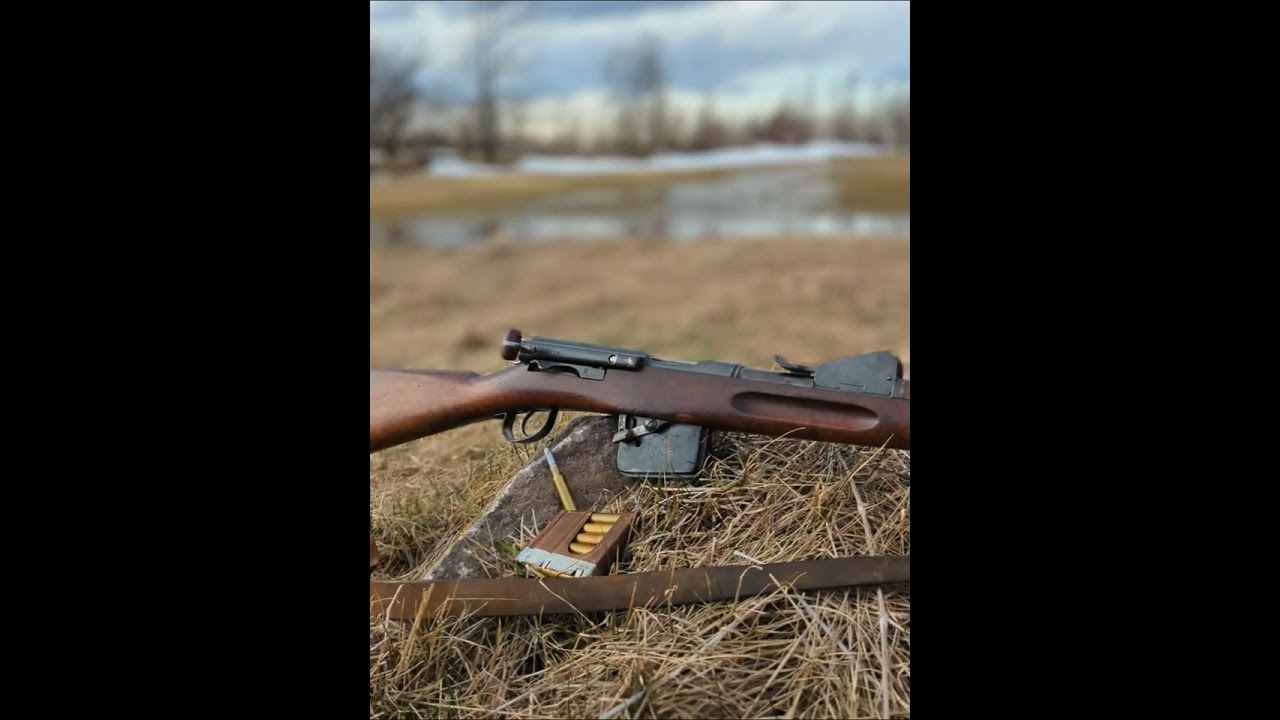 Swiss Schmidt Rubin 1889.