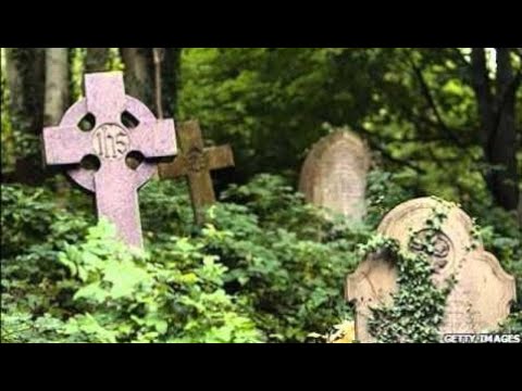 Radio Werewolf - Sister Lucretia (Live)