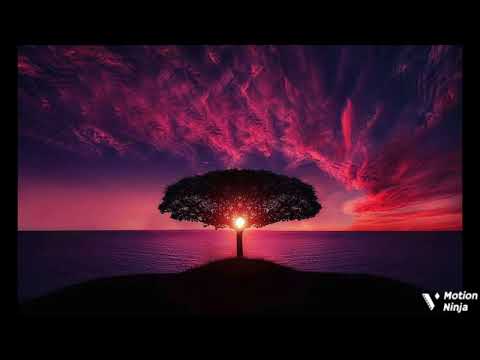 Trinny Beatz - Hotline Trap (Official Video)