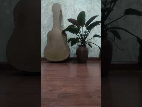 Sài Gòn đêm trở lại - Kiều Hà