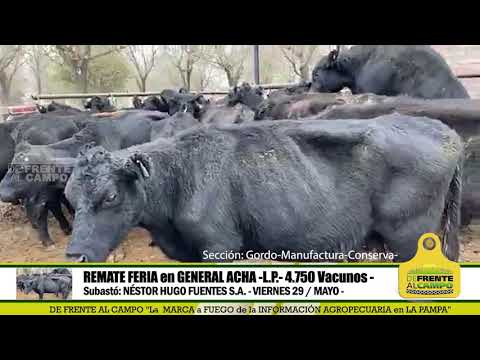 DE FRENTE AL CAMPO junto al SECTOR PRODUCTIVO - NHF S.A. -VIERNES 29 /MAYO-PARTE 1-
