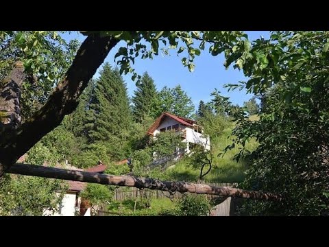 Cabana Vânătorilor, Poiana Mărului, Romania