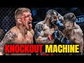 Zebaztian Kadestam Is A Destroyer Must Watch Fight Highlights