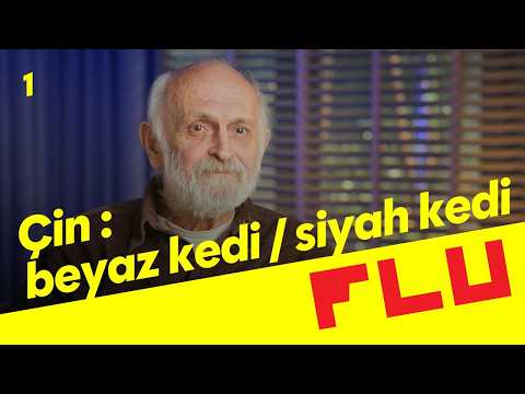 Çin: Beyaz Kedi Siyah Kedi - Dünya Halleri - Gün Zileli - B01