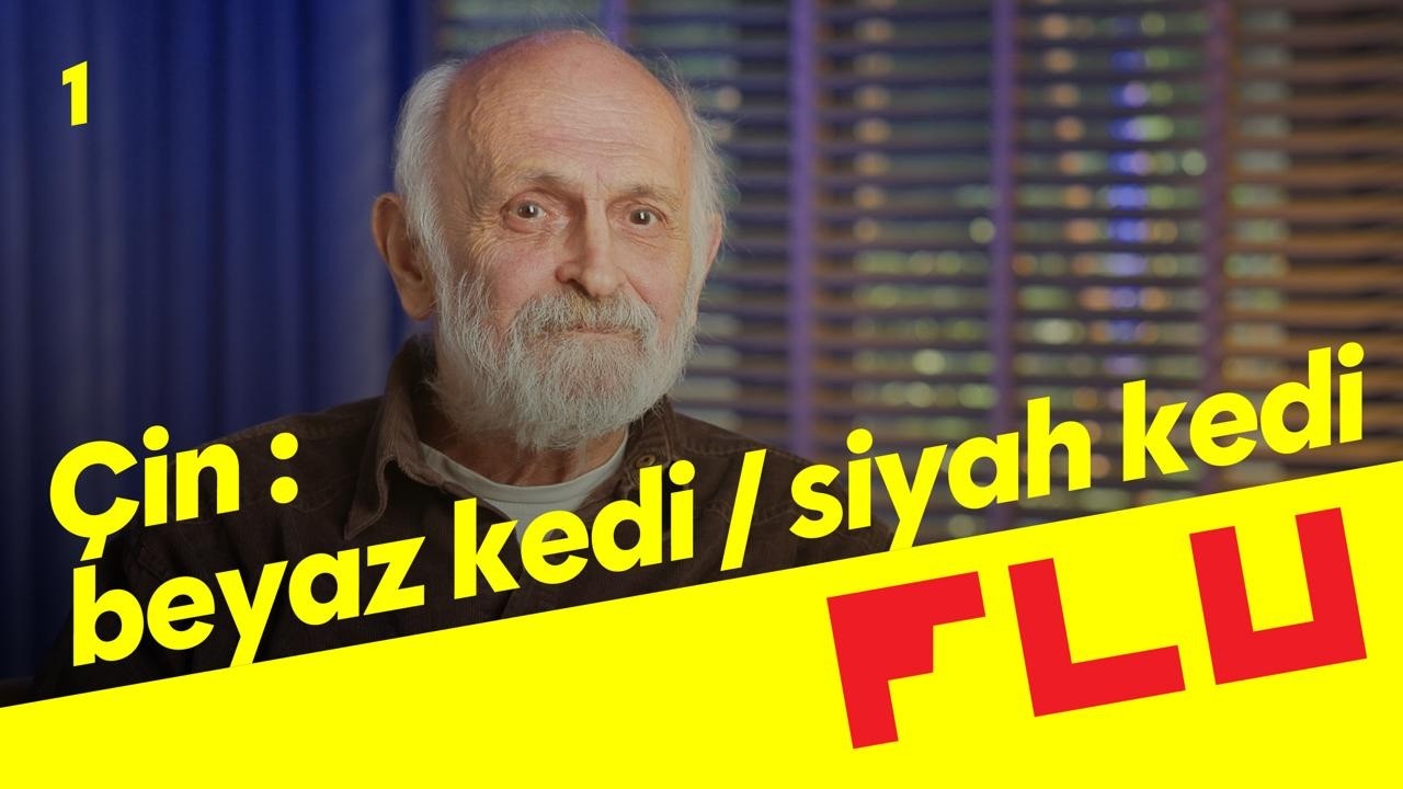 Çin: Beyaz Kedi Siyah Kedi - Dünya Halleri - Gün Zileli - B01