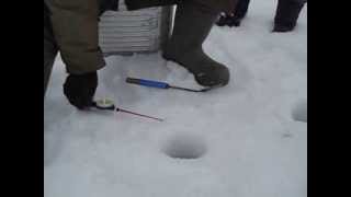 Рыбалка озеро иткуль курганская область