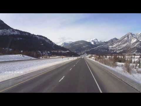 Deers crossing Hwy in Canada