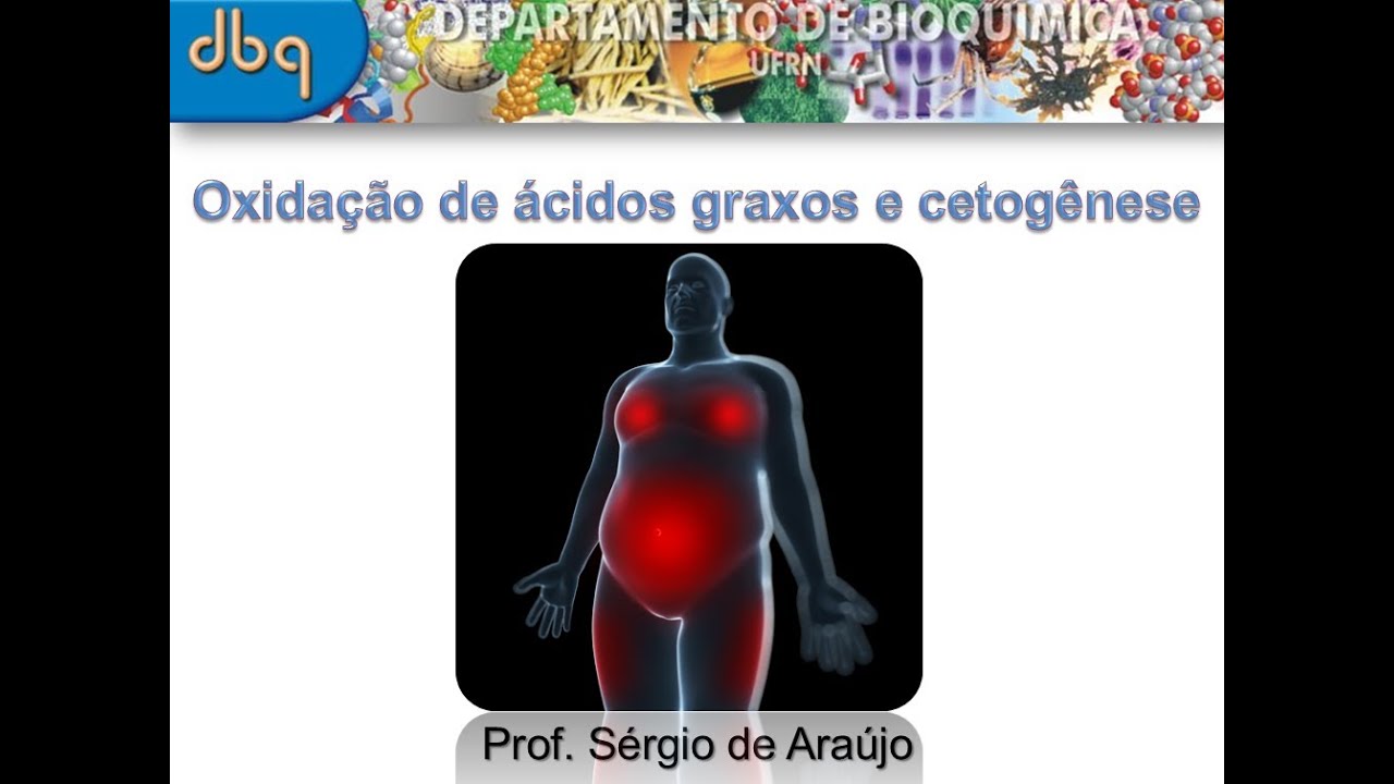 Curso de Bioquímica: Oxidação de ácidos graxos e cetogênese parte I