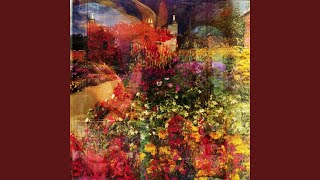 Aerial Sapphire Show