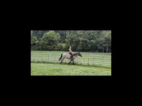 youtube preview