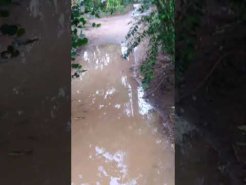 chuva boa. em sao jose do rio pardo sp