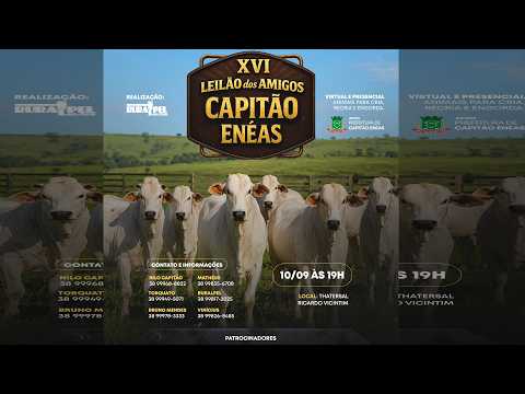 16° Leilão dos Amigos - Capitão Enéas/MG