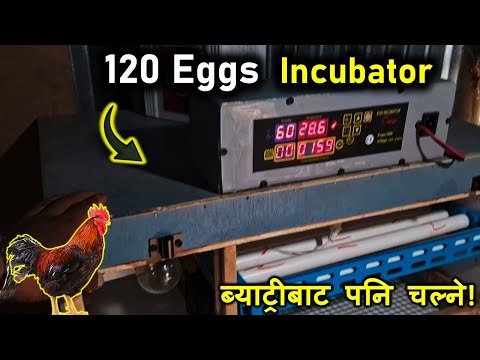 सोनाली कुखुराको  लागि INCUBATOR II Made in NEPAL II Abiram Agro-Tech Contact: 9705475355