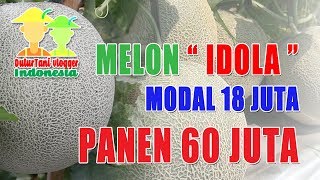 Download lagu DulurTani ID : Pesan Promosi ... Melon IDOLA modal 14 juta panen 60 juta mp3