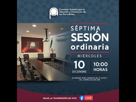 Séptima Sesión Ordinaria