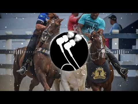 SABOTA O COPO DA GATA (O VAQUEIRO DA PISADA 🤠)