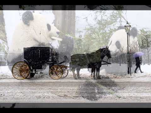 winter dream of mine/ Stoil Kordev