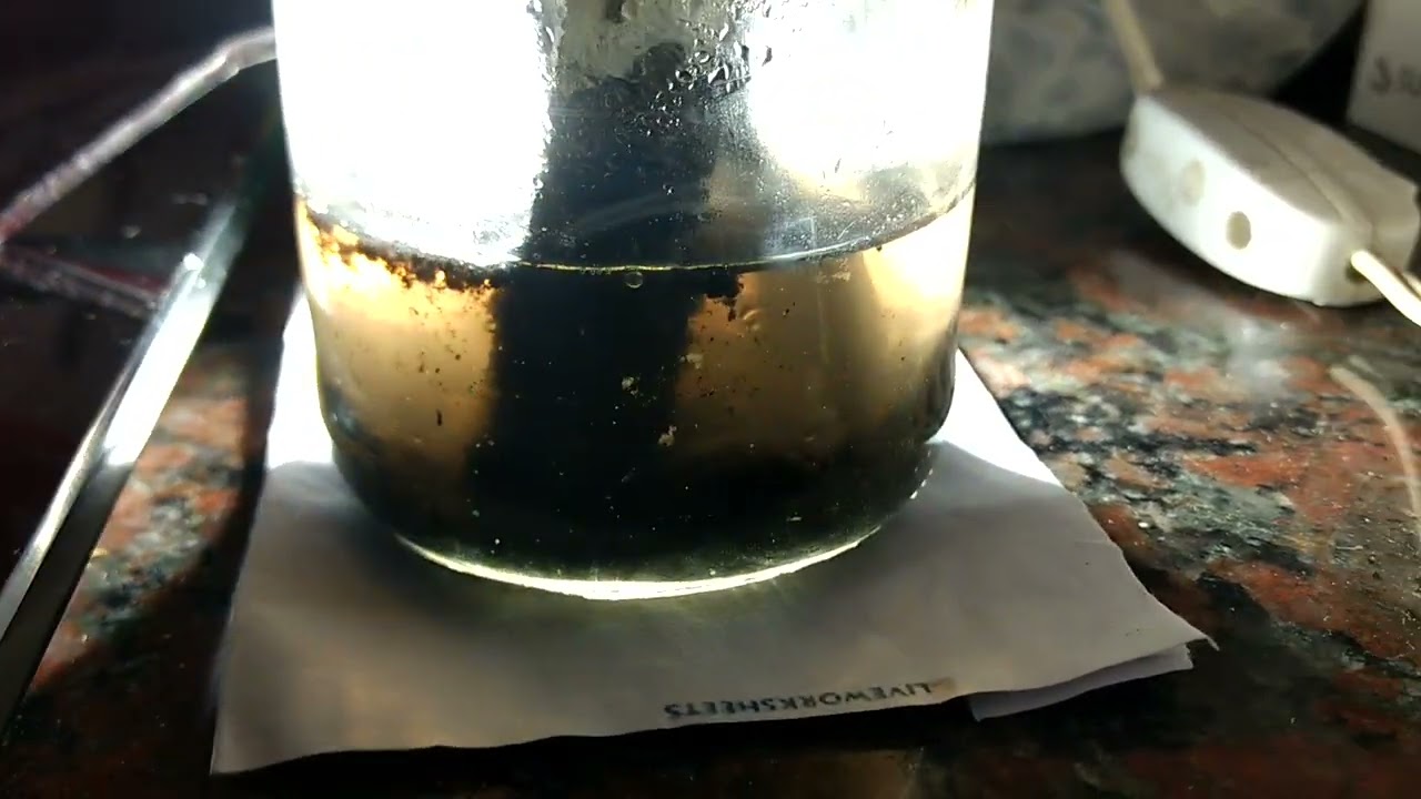 🔋 Melanina, Tinta de Pulpo/ Calamar en electrolito. 2° recarga ⚡ Fin de recarga...