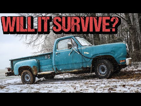 BARN FIND 1979 Dodge D100 Step Side - Will It Run, Drive, & Work After Sitting for Years?