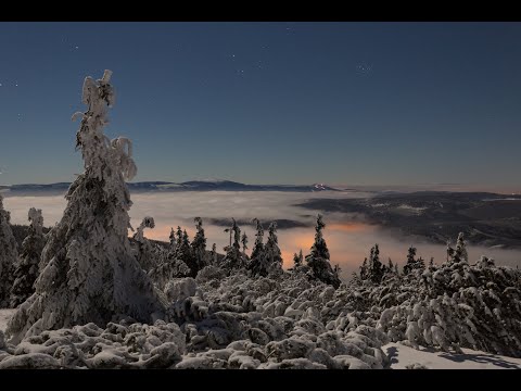 Winter sea of clouds: Czech Republic in 4K by Timefocus Films