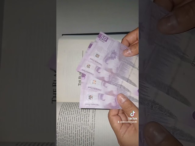 Vídeo relacionado con 48 Piezas Marcapáginas Magnéticos, 24 Estilos Bookmark Marcadores de Libros de Lectura para Profesores Estudiantes Amantes de los Libros (Estampado Floral)
