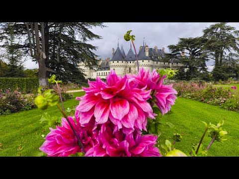 Between the Loire and luxury: A complete travel guide to the Château de Chaumont