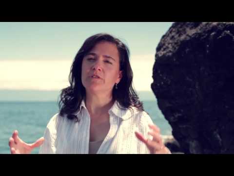 SCI-DOC 2016 - The Ocean Sampling Day 2014 - A Global Scientific Efford To Study Our Ocean (Teaser)