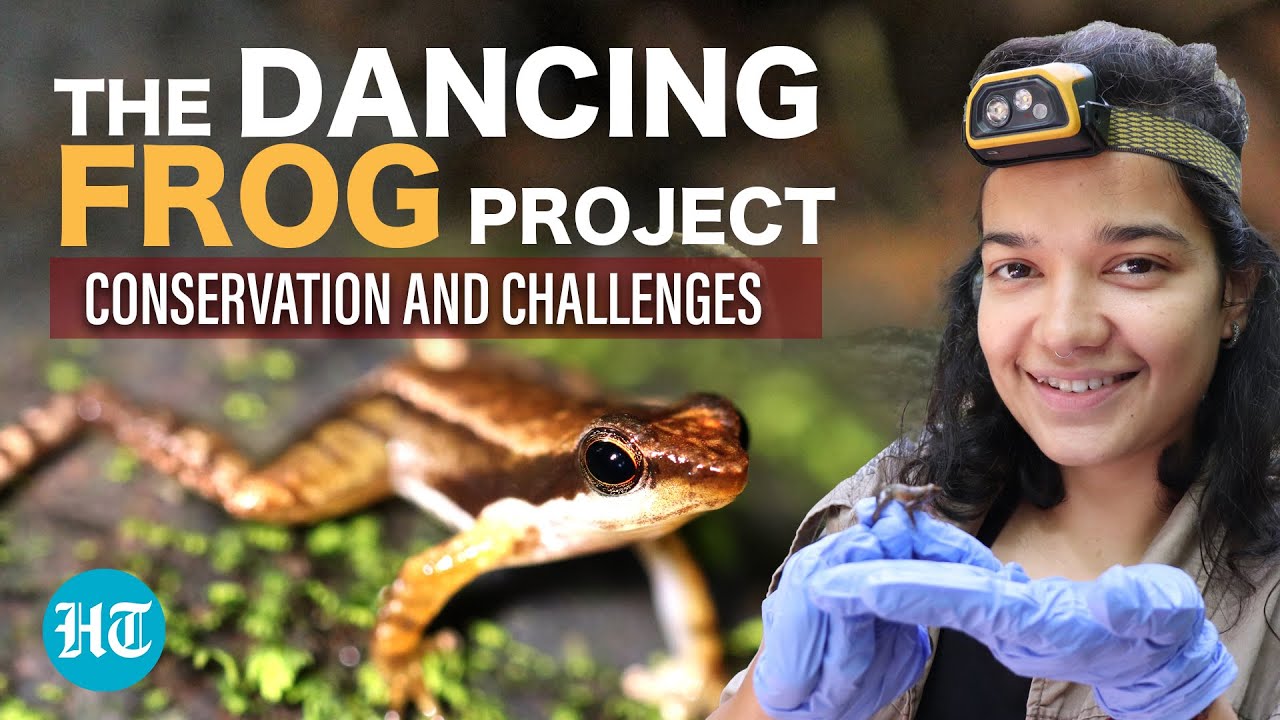 The Dancing Frog Project - Conservation and Challenges