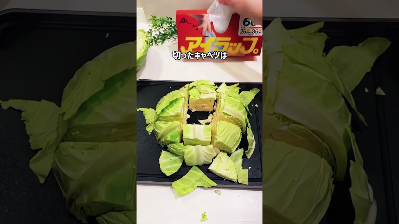 キャベツ、実は縦に切るのが正解だった！#暮らし #キャベツの切り方 #キャベツ #diy