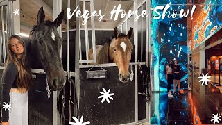 Las Vegas Horse Show Vlog #1