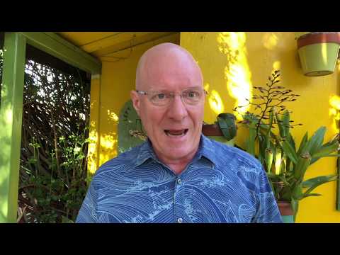 Alelo Equity Crowdfunding Announcement