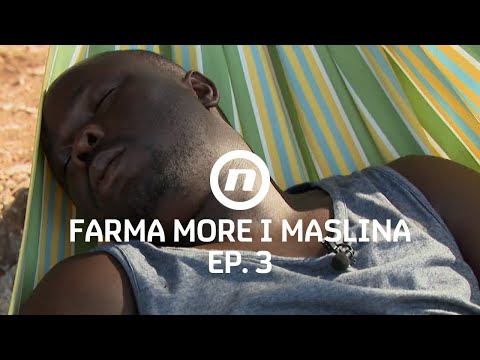 Prince uživa kao pravi princ - Epizoda 3 | Farma More i Maslina