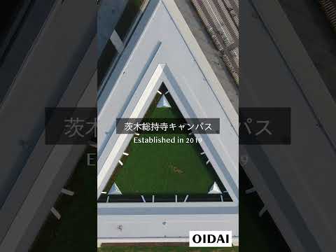 情報学科 OIDAI 総持寺キャンパス #Shorts