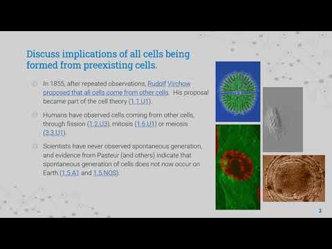 IB DP Biology Topic 1: Cell biology 1.5 U1The origin of cells