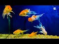 channel