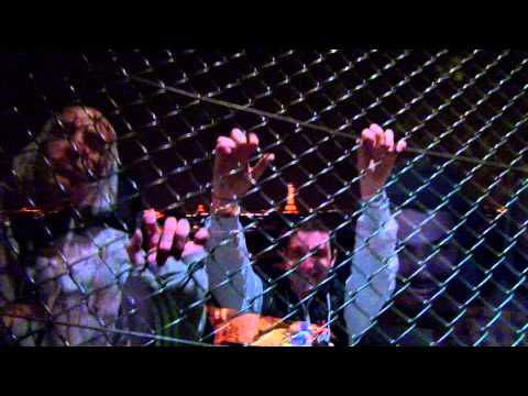 DIRTY ZOO - La nuit-