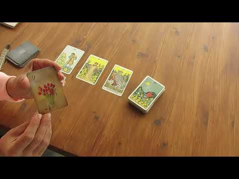 Intuitiver Impuls zur Wochenmitte 24.02.2021 - Du setzt gerade die richtigen Samen für deine Ernte!