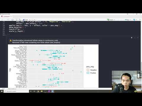 Interpretable Black Box Models in R