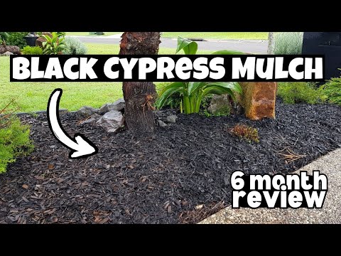 Cypress Mulch Ace Hardware