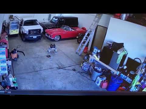 pitbull vs husky😱 #animals 🔥