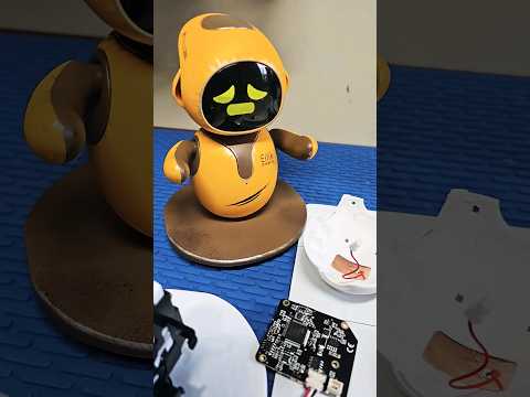 Say goodbye to Pink Eilik, and hello to new specie of Eilik 😥🙏🏻