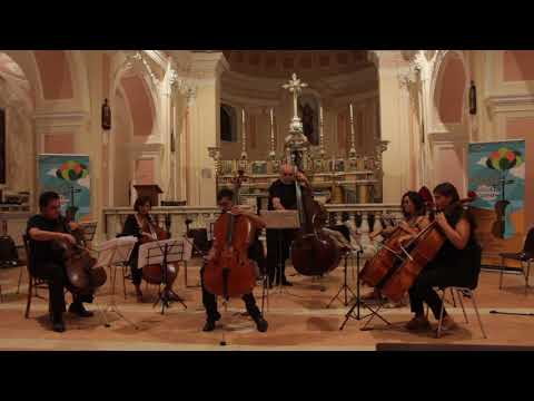 Francesco Parente J. Haydn Cello Concert in D Major (First movement)