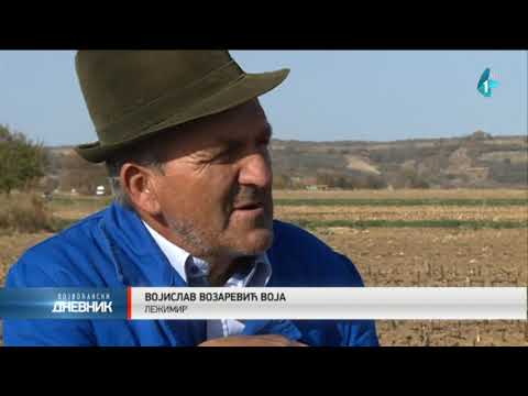 Čobanin Voja čuva ovce gotovo pola veka