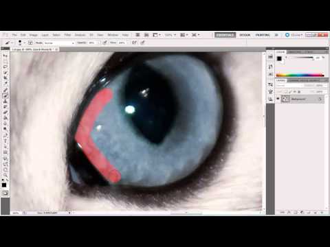 How to View Photoshop Full Screen