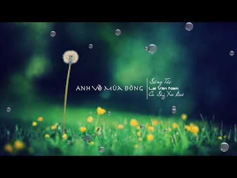 Anh về mùa đông (Ngoại tình ca số 1) - Xa Đại