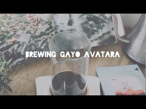 BREWING GAYO AVATARA with KOKA DRIPPER | #BrewatHome